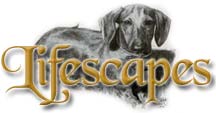 Lisa's Lifescapes