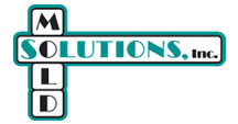 Mold Solutions